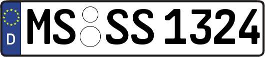 MS-SS1324