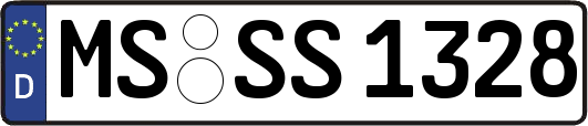 MS-SS1328
