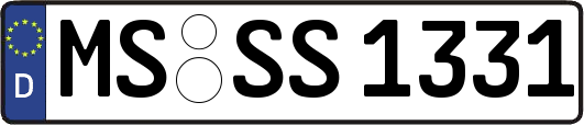 MS-SS1331