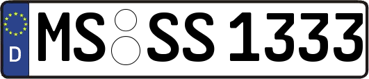 MS-SS1333