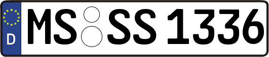 MS-SS1336