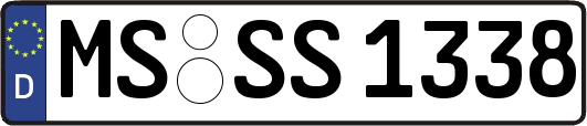 MS-SS1338