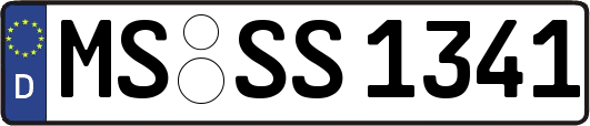 MS-SS1341