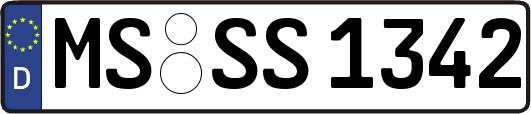 MS-SS1342