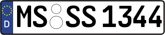 MS-SS1344