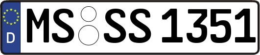MS-SS1351