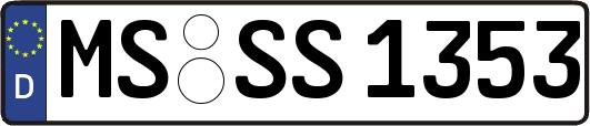 MS-SS1353