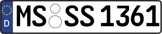 MS-SS1361