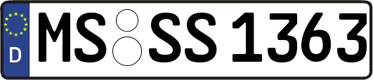 MS-SS1363