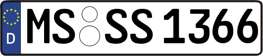 MS-SS1366