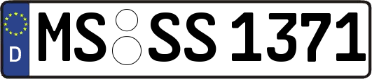 MS-SS1371