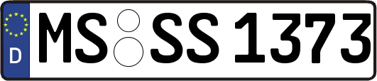 MS-SS1373