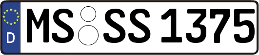 MS-SS1375