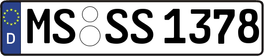 MS-SS1378