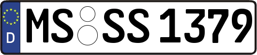 MS-SS1379