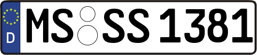 MS-SS1381