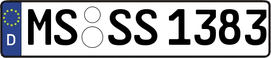 MS-SS1383