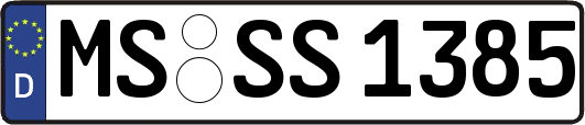 MS-SS1385