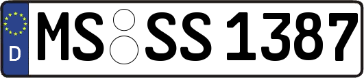 MS-SS1387