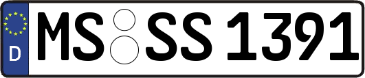 MS-SS1391