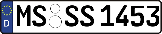 MS-SS1453