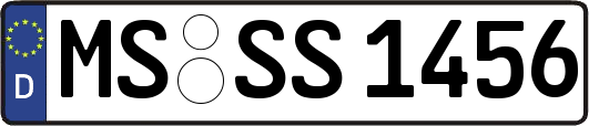 MS-SS1456