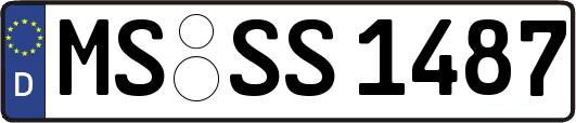 MS-SS1487