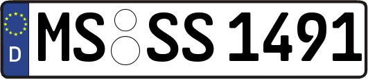 MS-SS1491