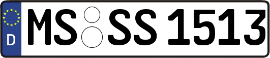 MS-SS1513