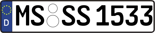 MS-SS1533