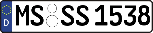 MS-SS1538