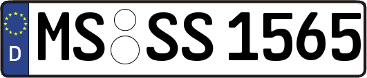 MS-SS1565
