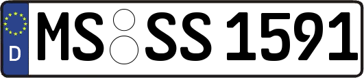 MS-SS1591