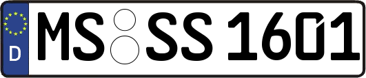 MS-SS1601