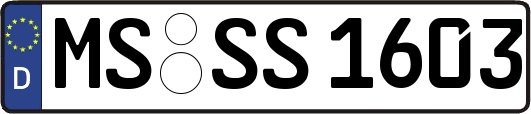 MS-SS1603
