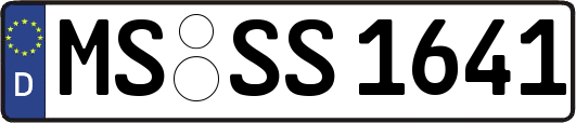 MS-SS1641