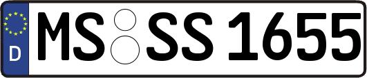 MS-SS1655