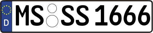 MS-SS1666