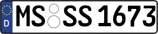 MS-SS1673