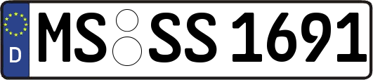 MS-SS1691
