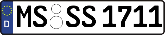 MS-SS1711