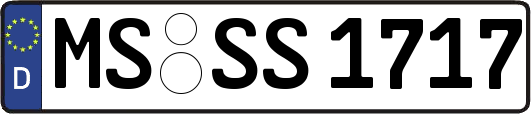 MS-SS1717