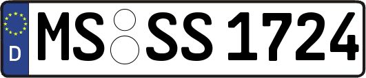 MS-SS1724