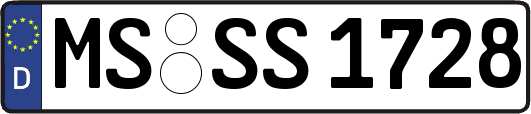 MS-SS1728