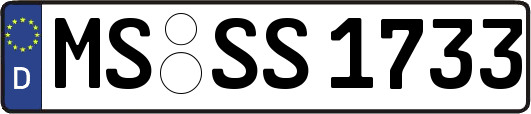 MS-SS1733