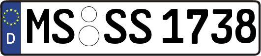 MS-SS1738