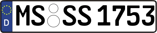 MS-SS1753
