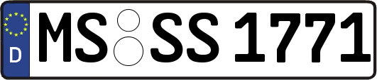 MS-SS1771