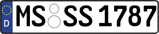 MS-SS1787