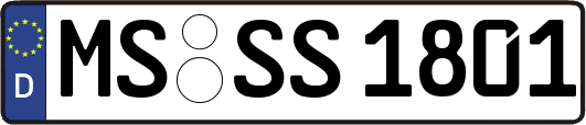 MS-SS1801